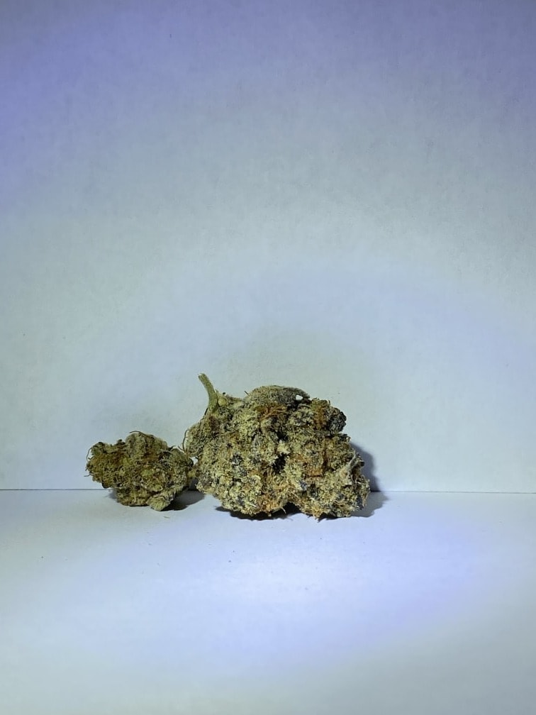 Cherry Zerbert Pipekeepers Smoke Shop Cayuga, NY