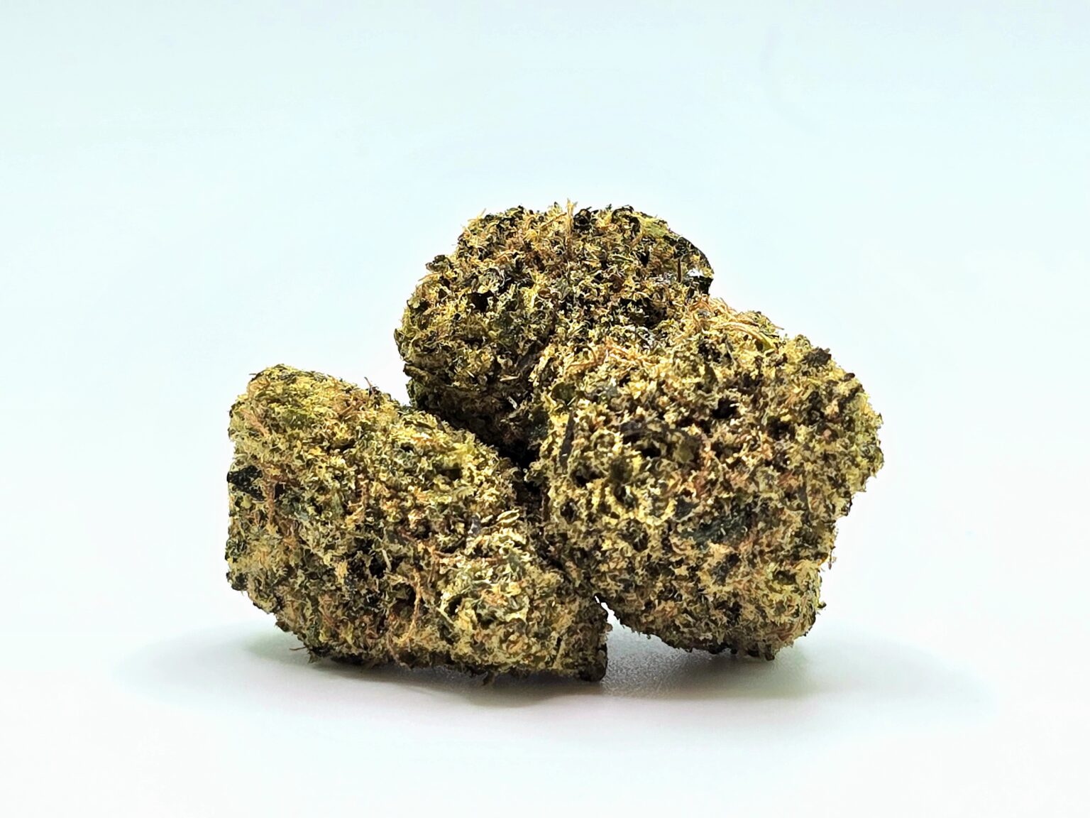 Bubblegum Gelato Pipekeepers Smoke Shop Cayuga, NY